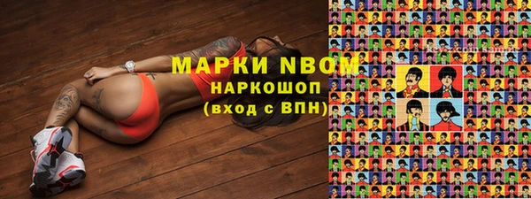 гидра Алексеевка