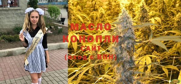 гидра Алексеевка