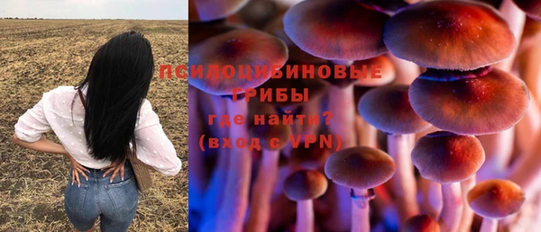 гидра Алексеевка